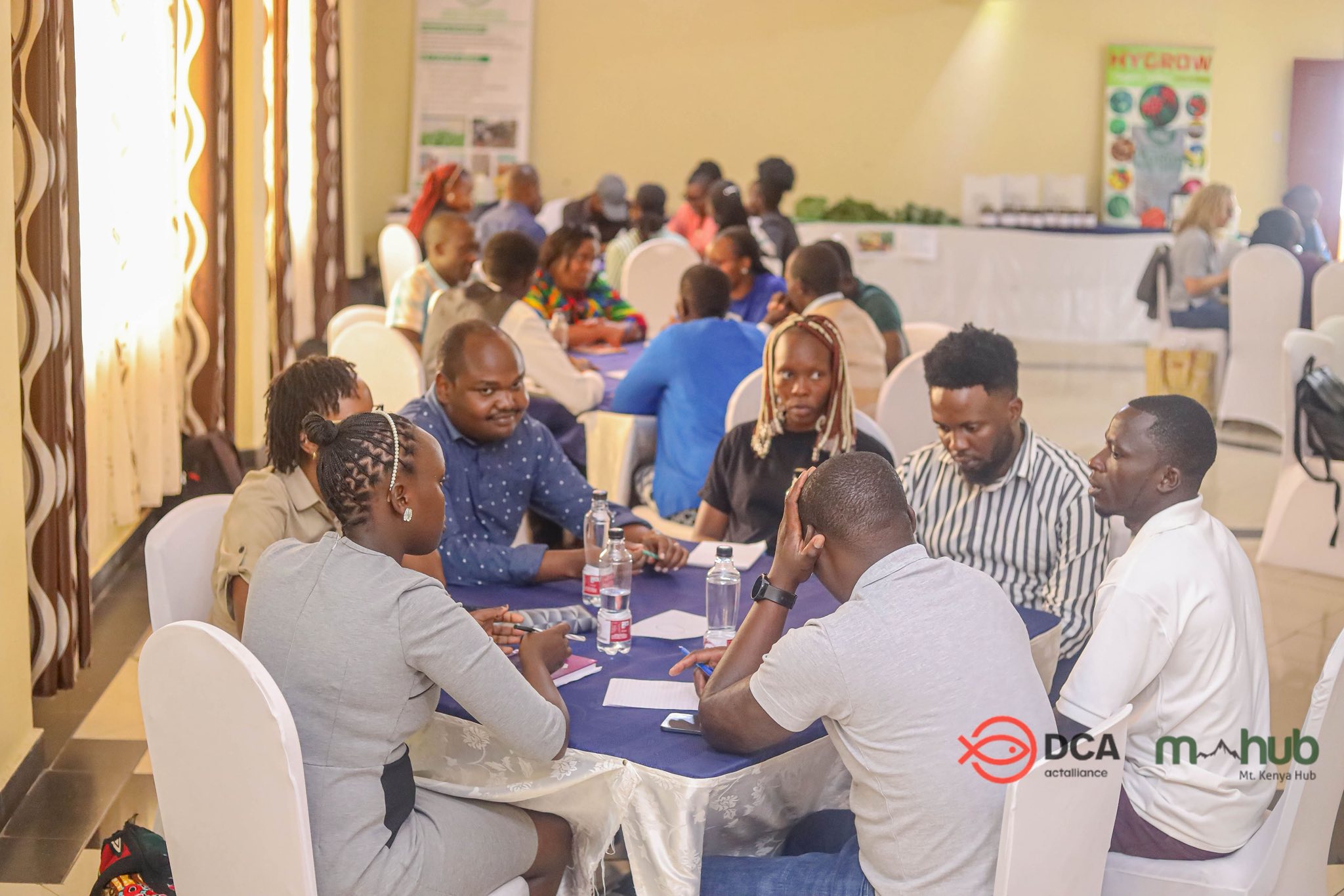 Technology & Digital Innovation